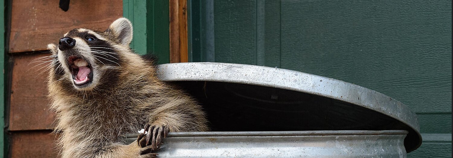 P. Henkel Header Newsbereich