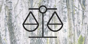 P. Henkel Leitbild Ethik und Moral Icon Waage Hintergrund Birkenwald