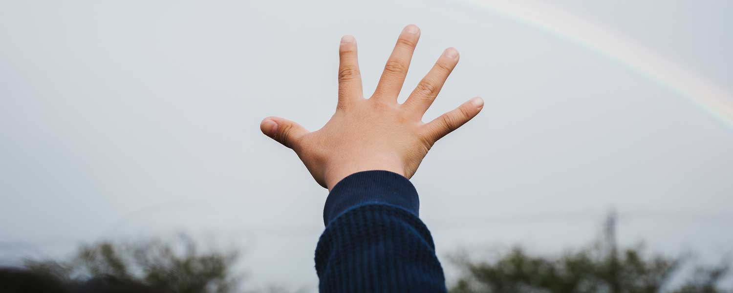 P. Henkel Header Children's Hand Donation 2024 Hospice Balthasar